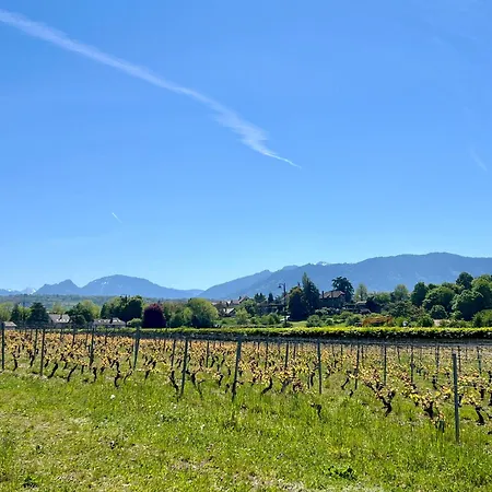 Unique 70m2, Proches Thermes, Parking Gratuit Thonon-les-Bains